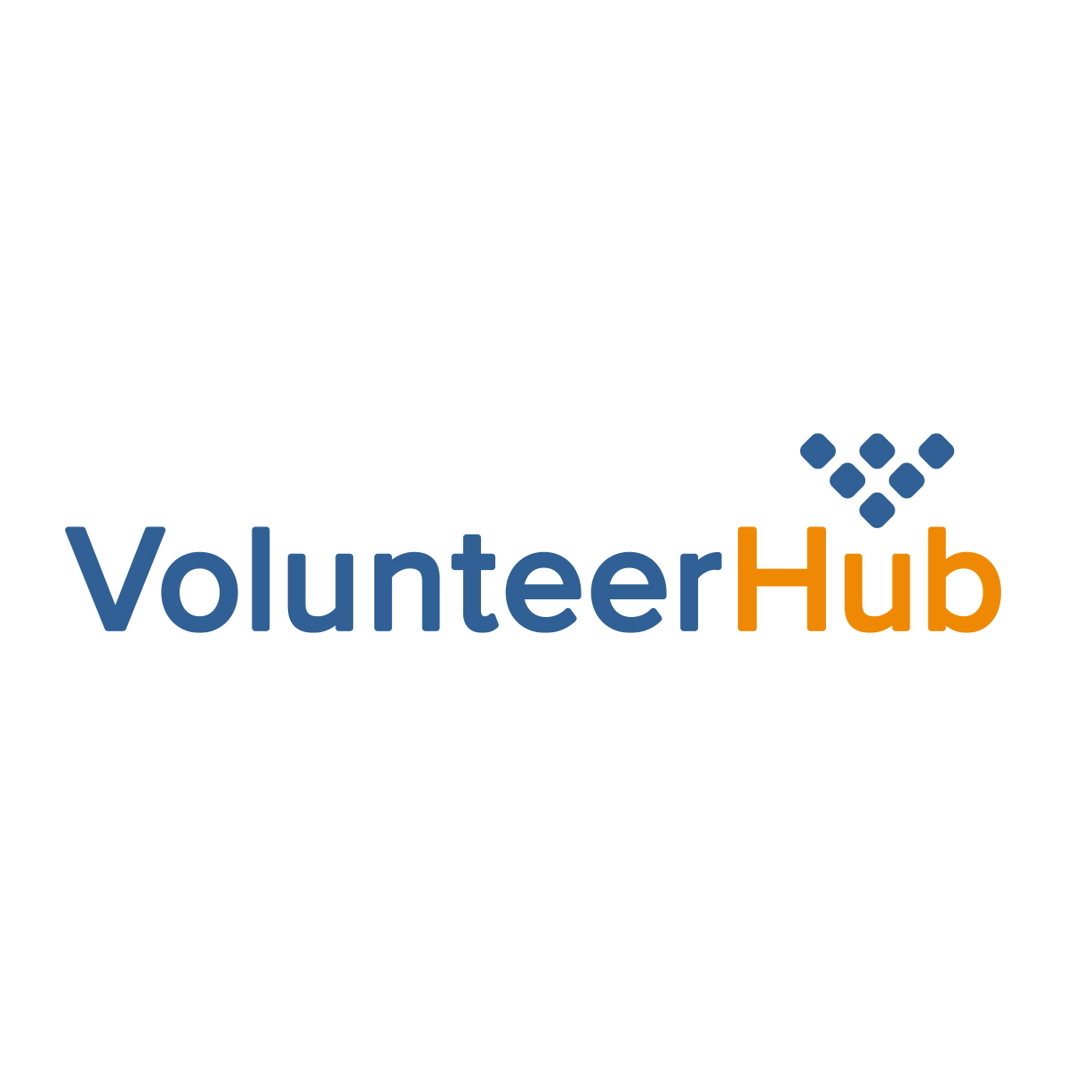 LMG Portfolio_Volunteer Hub_Website and Logo_5